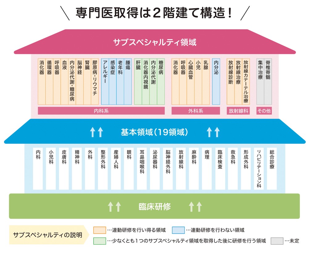 専門医取得は2階建て構造！サブスペシャルティ領域、基本領域（19領域）、臨床研修の図